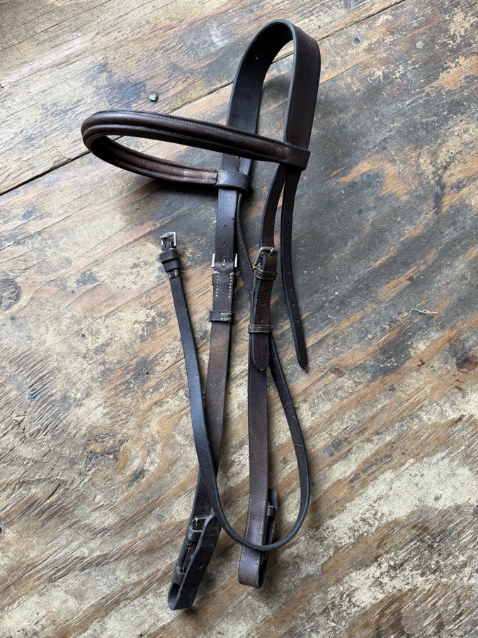 Oversized bridle