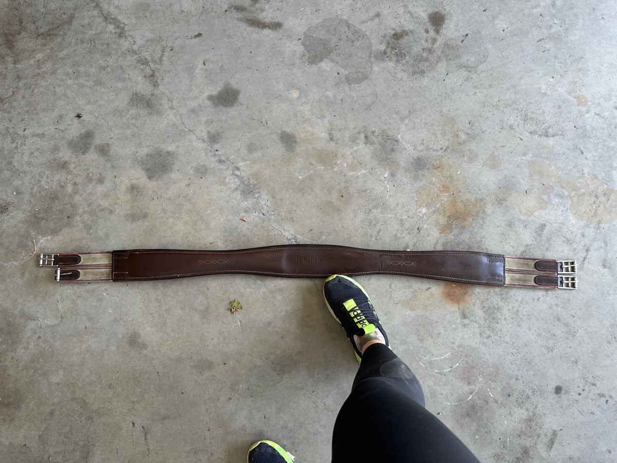 M. Toulouse 50” Padded Contour girth