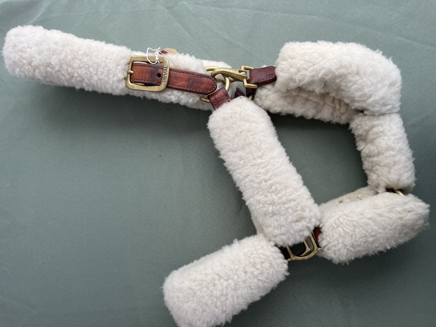 Beval Leather Shipping Halter with Sheepskin
