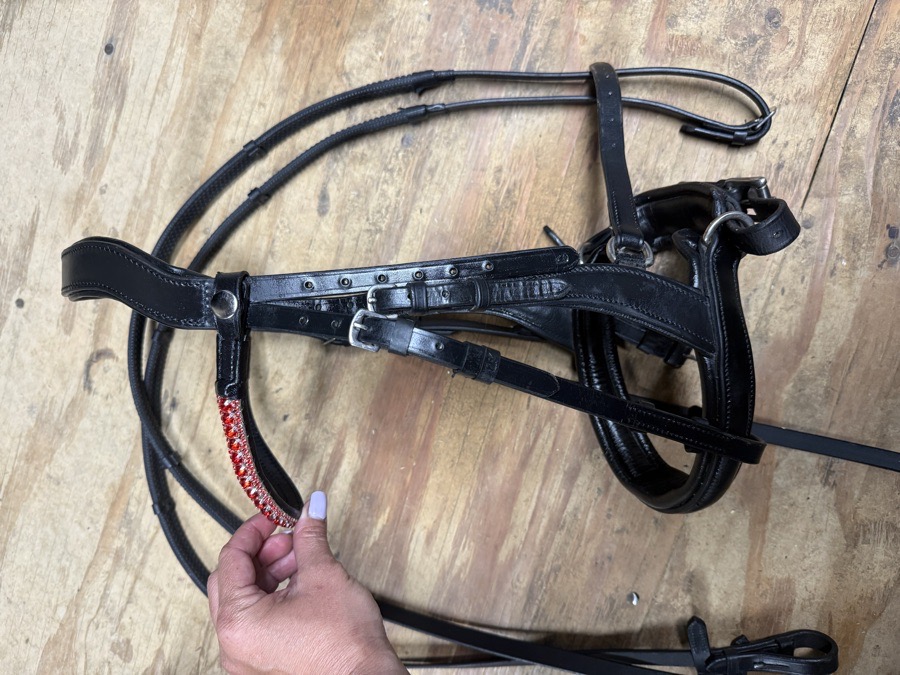 Cob Tota Comfort bridle with bling