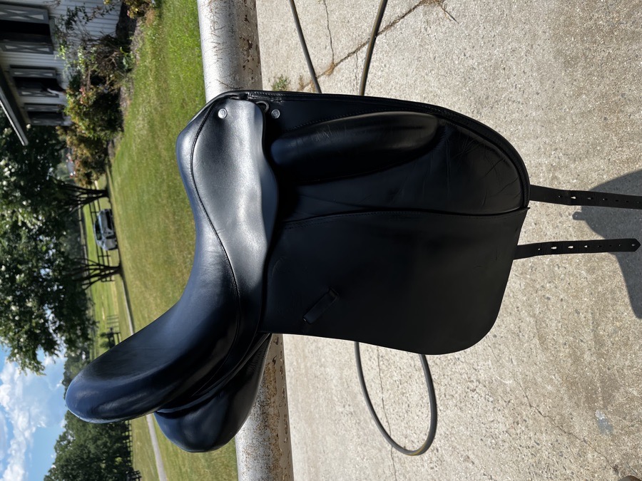 17.5” Custom Wolfgang Solo