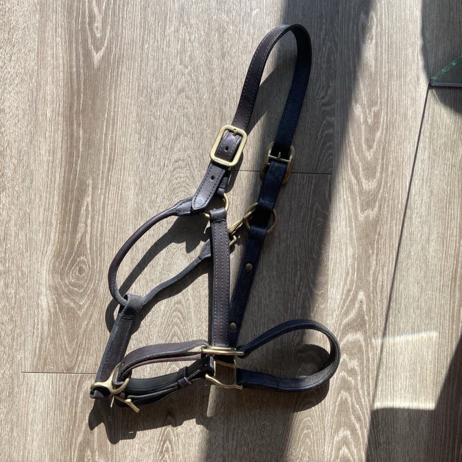 Leather halter