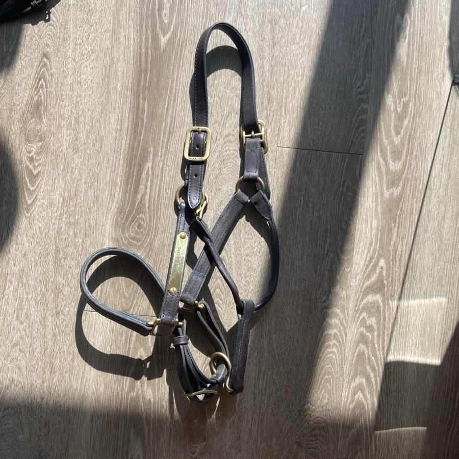 Leather halter