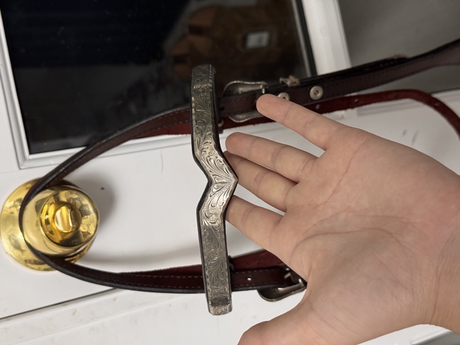 Western Show Bridle & Braided Reins