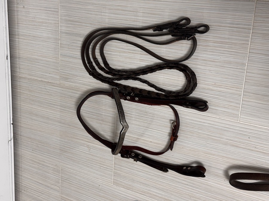 Western Show Bridle & Braided Reins