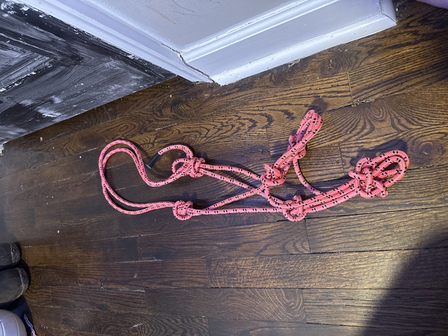 Pink rope halter