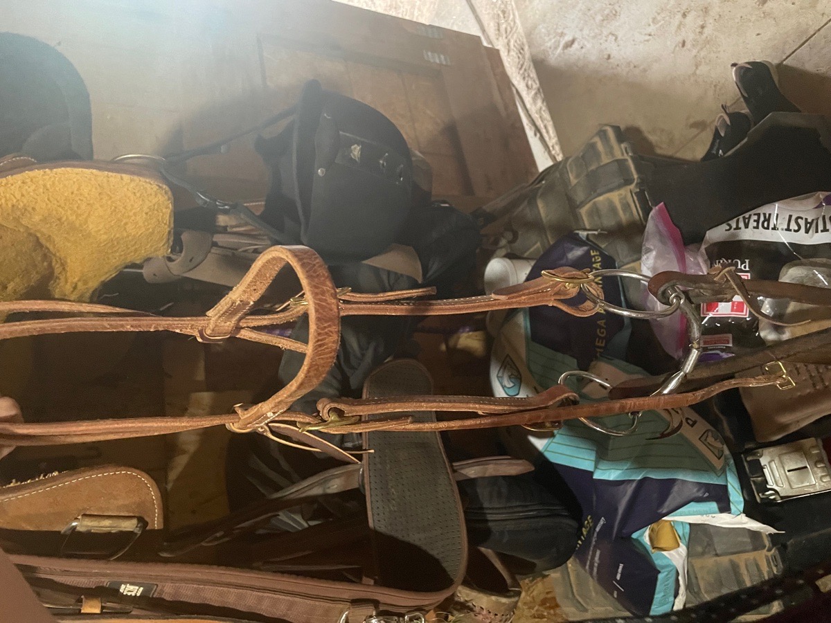 Professional choice headstall