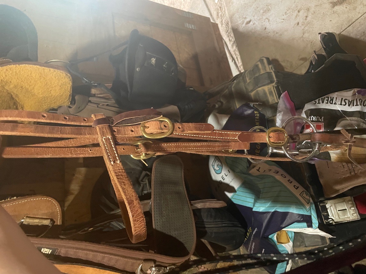 Professional choice headstall