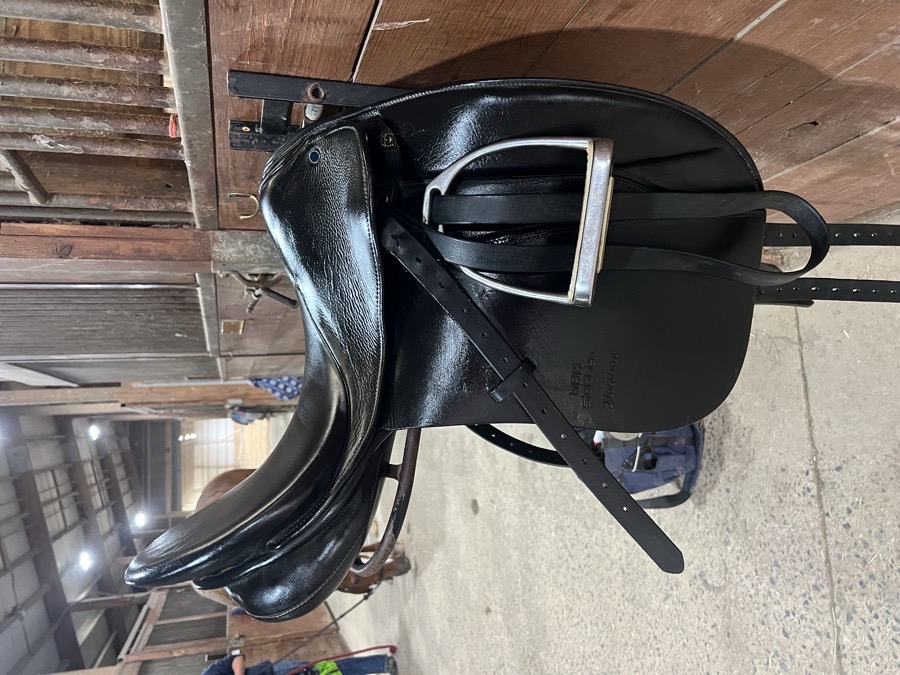 18” Stubben Maestoso 32cm