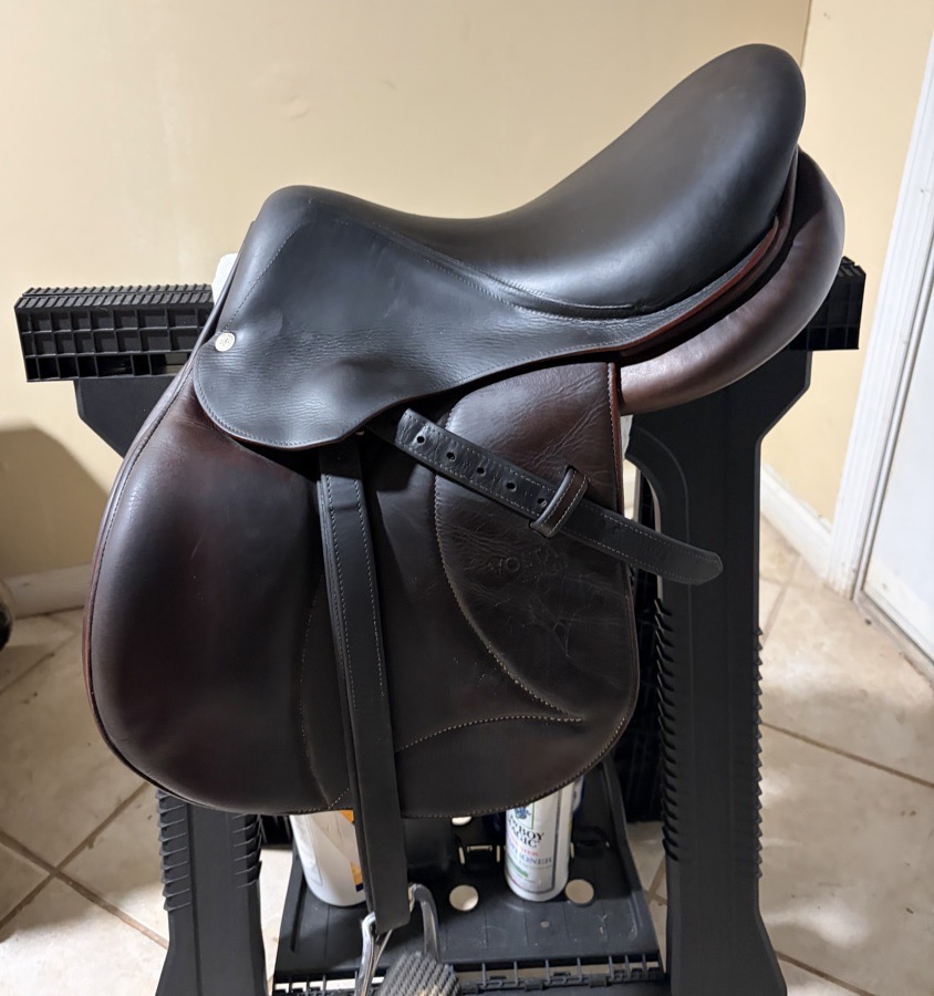 15.5” Voltaire Palm Beach