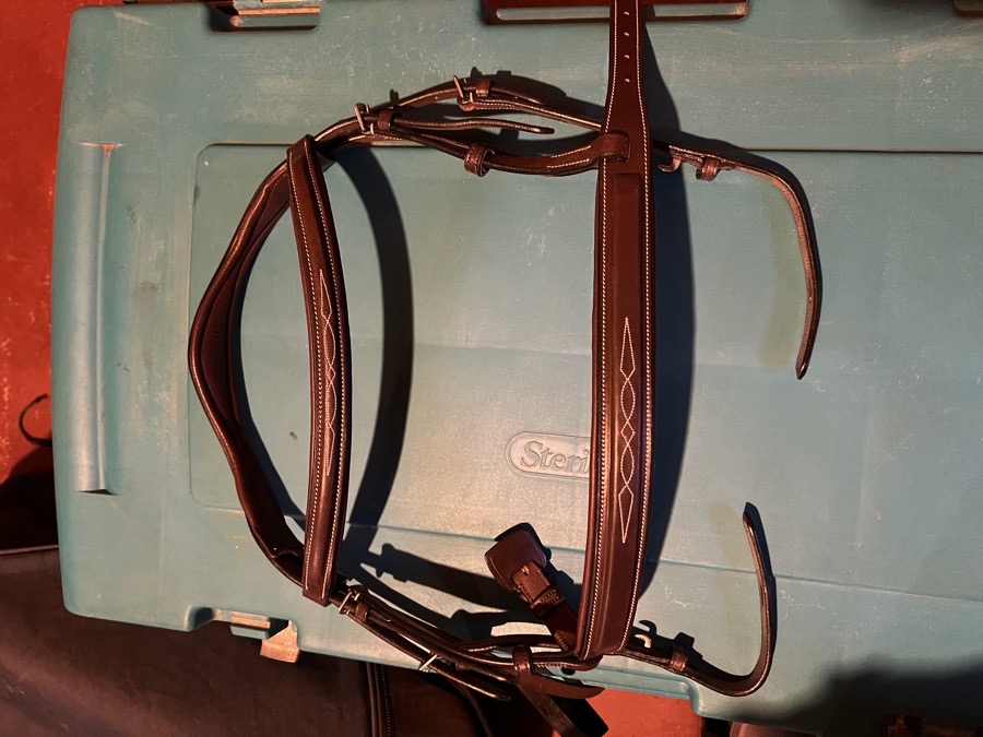 Montar Pony Hunter Bridle