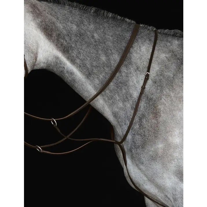 Collegiate Running Martingale IV Cob
