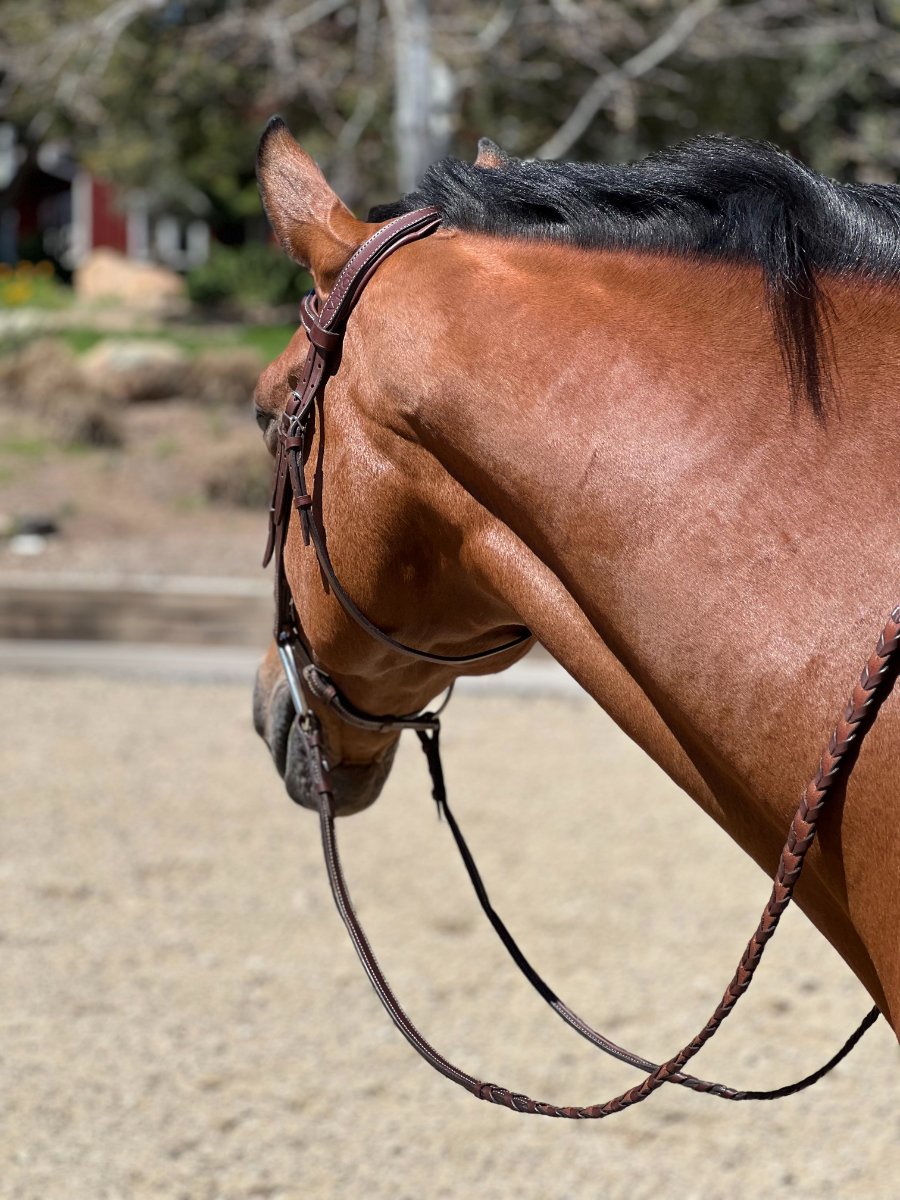 HOPLA Sellerie Hunter Braided Reins With Fancy Stitching