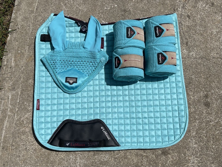 LeMieux Azure complete set