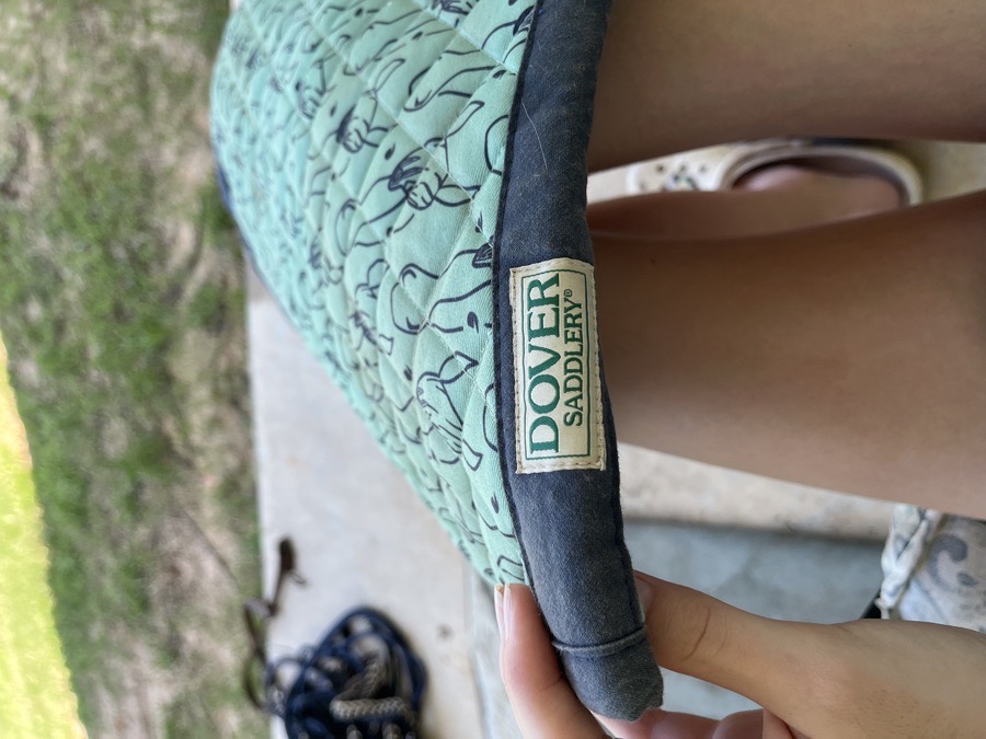 Dover pony pad SALE PENDING