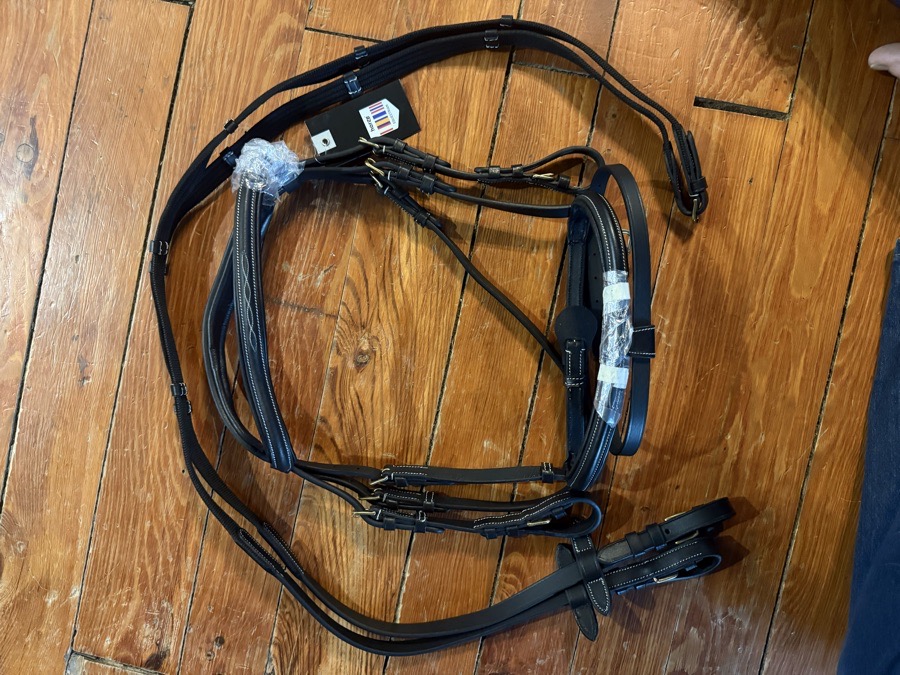 Pony sized Horze fancy stitch flash bridle