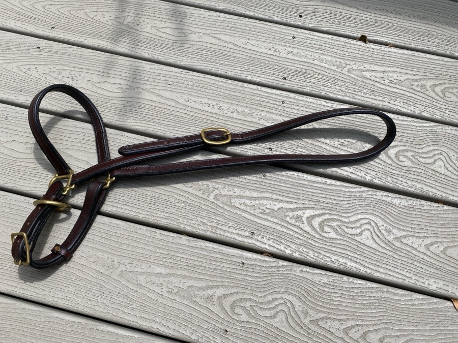 Leather grooming halter
