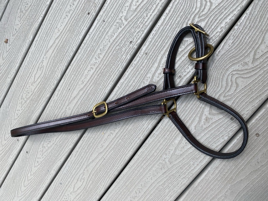 Leather grooming halter