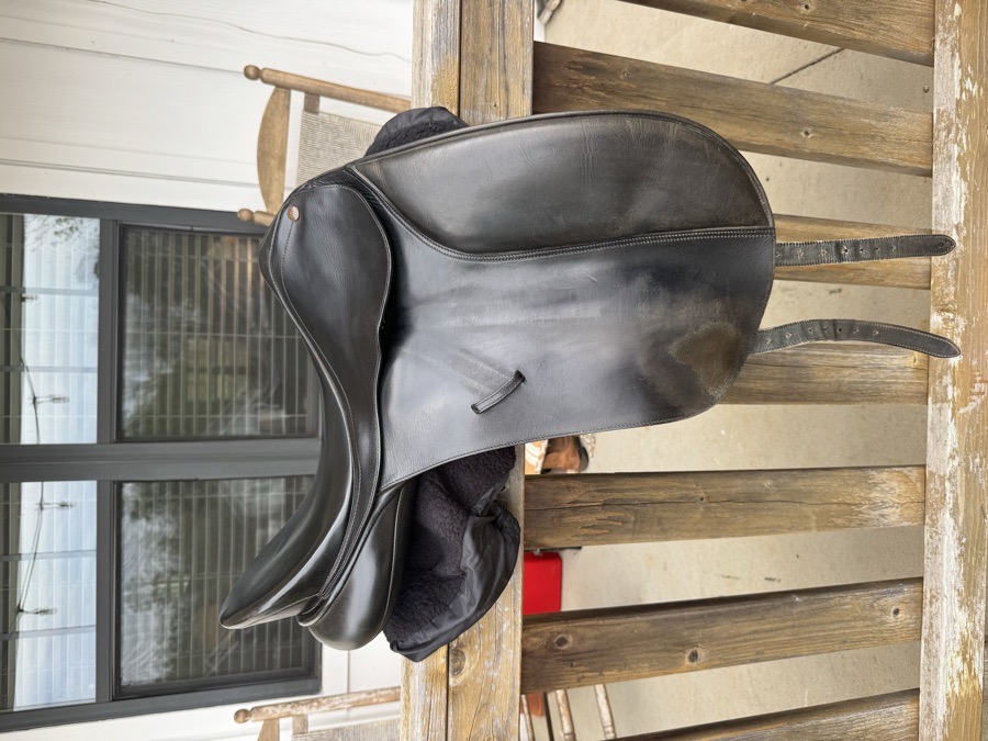 Bates Caprilli Dressage 17.5”