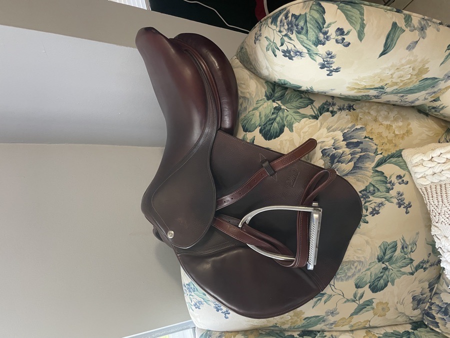 Gorgeous CWD 2021 - Everything Incuded!