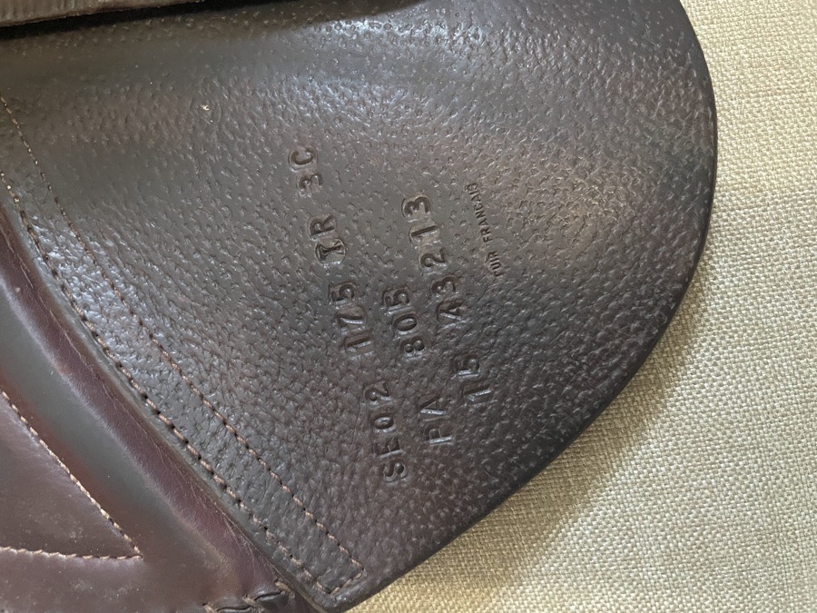 Gorgeous CWD 2021 - Everything Incuded!