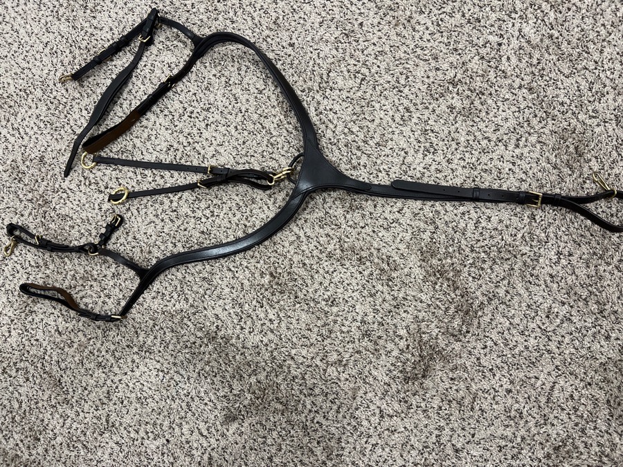 Sunrider Breastplate Ascot, 5-point, 3-point