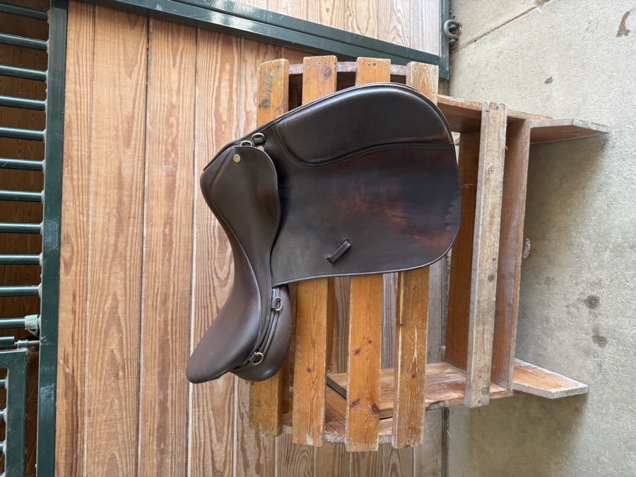 Collegiate jumping saddle
