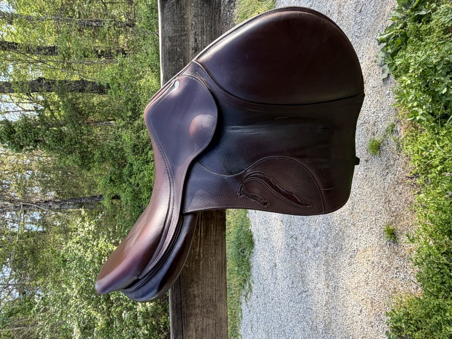 Antarès Evolution Jump Saddle – 18” – 3AA – 2018