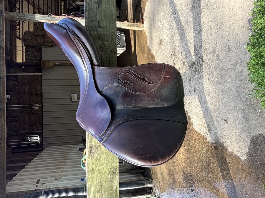 Antarès Evolution Jump Saddle – 18” – 3AA – 2018