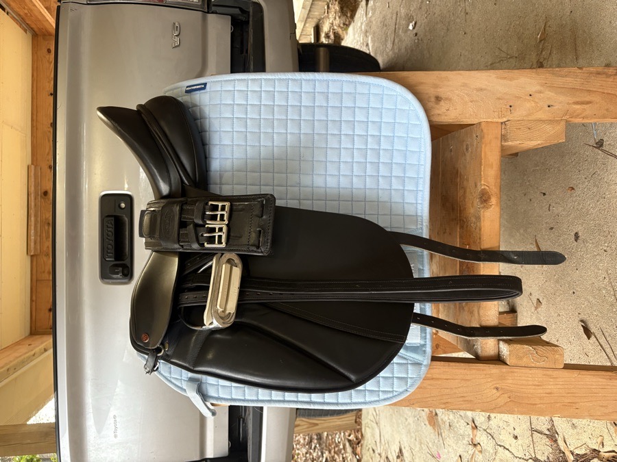 DISCONTINUED 17.5’’ Whitman Saddlery Rembrandt Dressage Saddle, 7’’ Gullet, USA