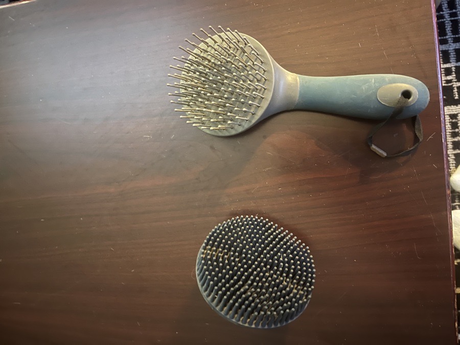 Oster grooming supplies