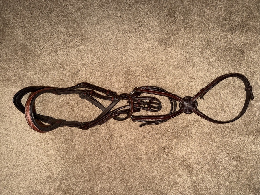 Dover Figure 8 bridle