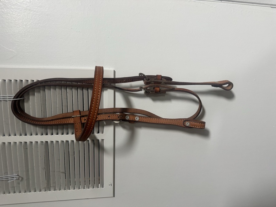 Western headstall in great shape