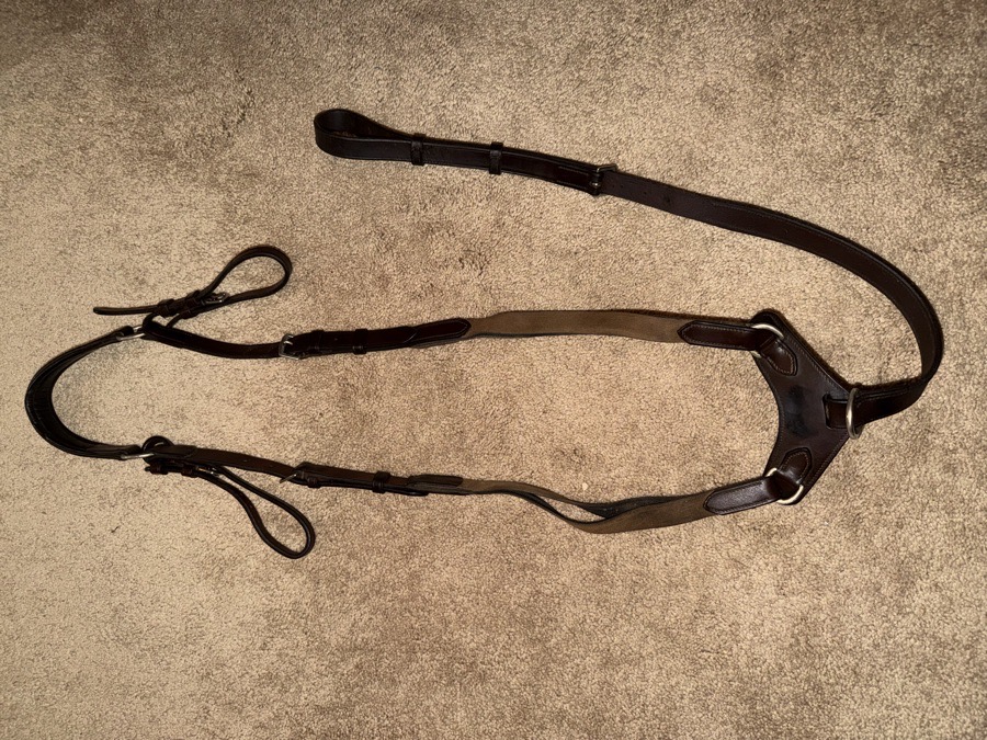 Vespucci breastplate