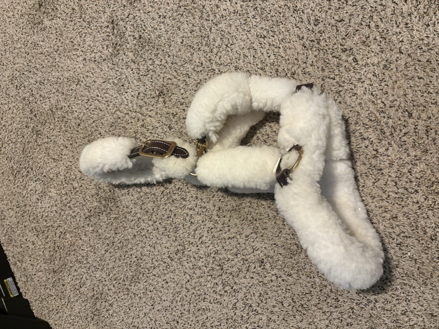 Walsh Shipping Halter