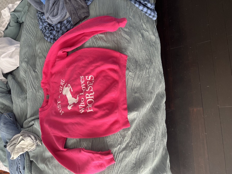 Horse sweat shirt (girls size small).