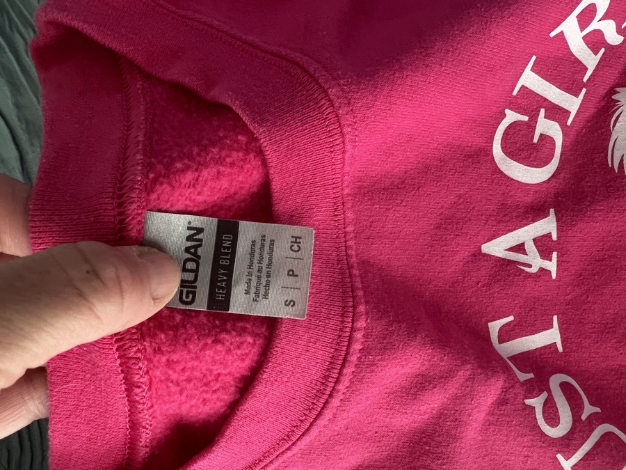 Horse sweat shirt (girls size small).