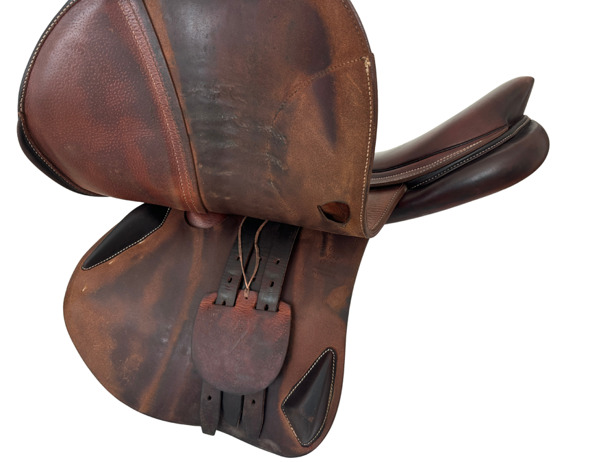 ANTARES | 17" 2A | 4.5" Tree Size | 2022