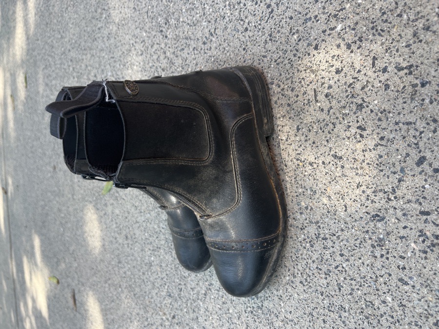 Equistar Short Boots