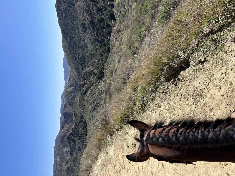 STOREWIDE SALE!!! ✨✨✨