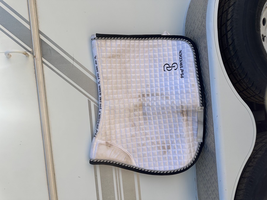 Ps of Sweden saddle pad