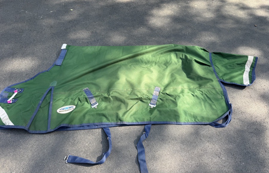 WeatherBeeta Plus Dynamic Heavy Turnout