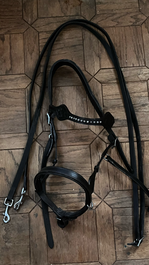Sidepull bitless bridle w/ reins