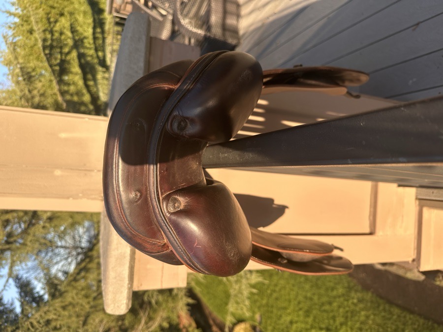 17 seat, Prestige Torn Carson Elite