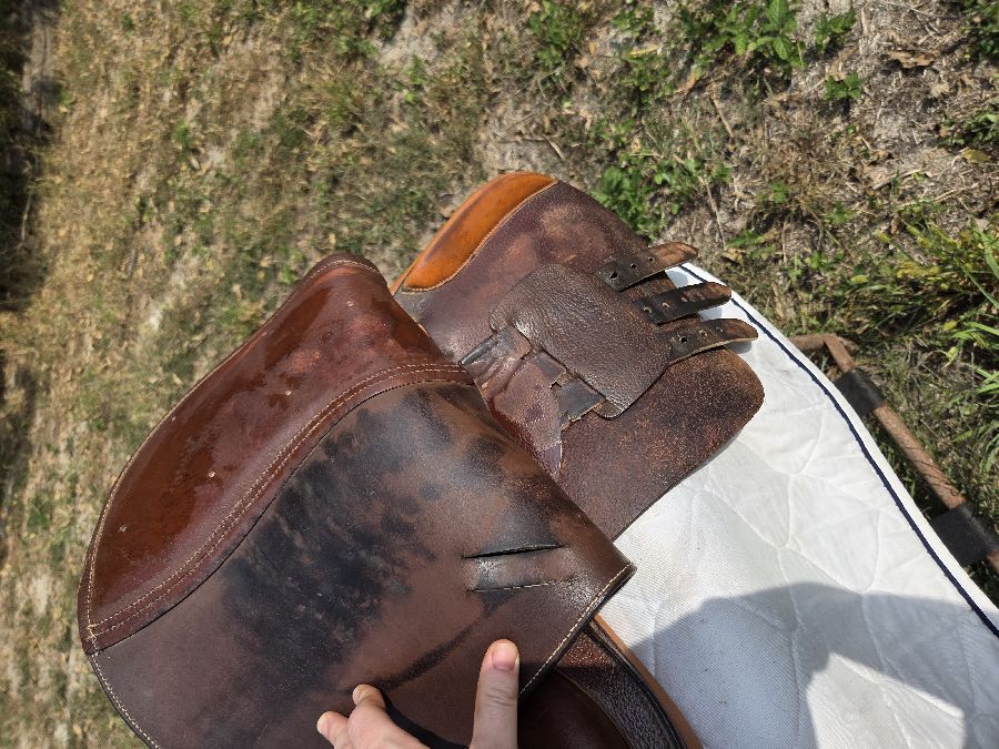 Rare carlyle, 16 inch hunt saddle