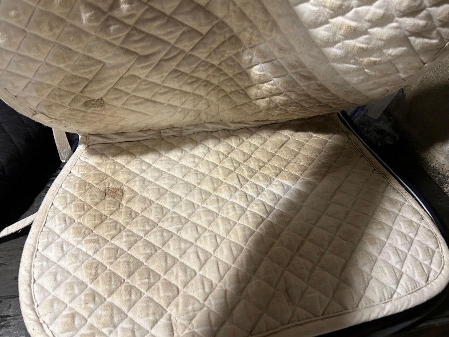 Dover Saddlery Saddle Pad