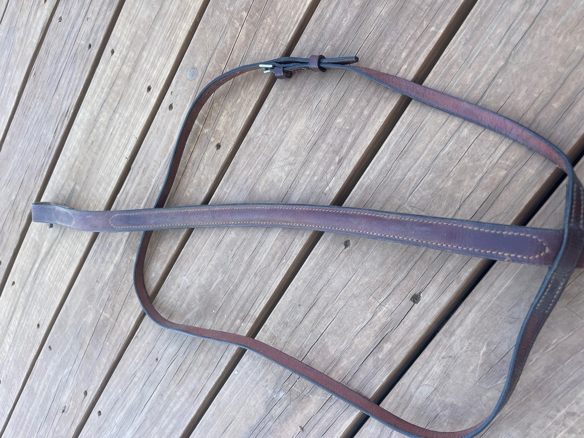 Pony standing martingale