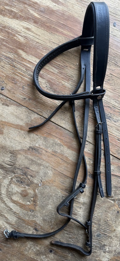Kieffer and Courbette bridle