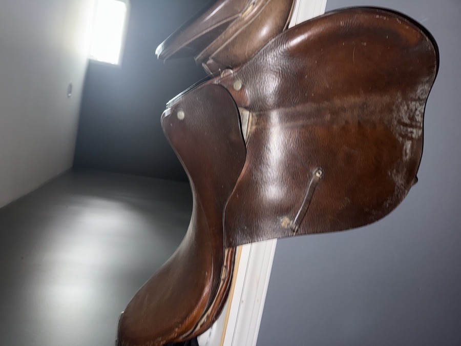 Lesson saddle