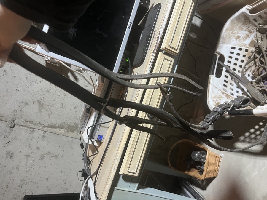 Headstall W throat latch